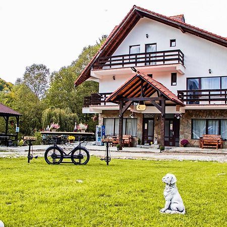 Vila Vibrant Bran  Exterior foto